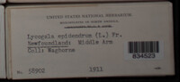 Image Associated With the Occurence